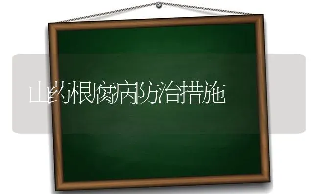 山药根腐病防治措施 | 养殖技术大全