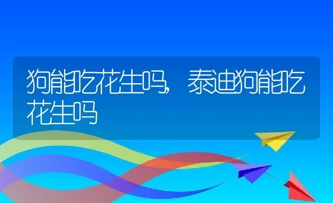 狗能吃花生吗,泰迪狗能吃花生吗 | 养殖资料