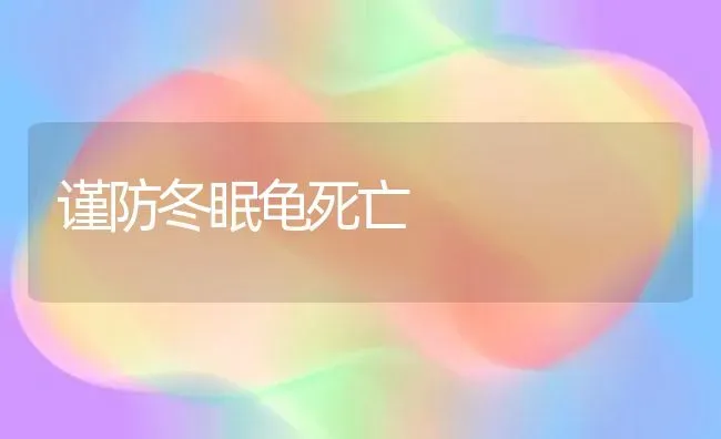 谨防冬眠龟死亡 | 养殖技术大全