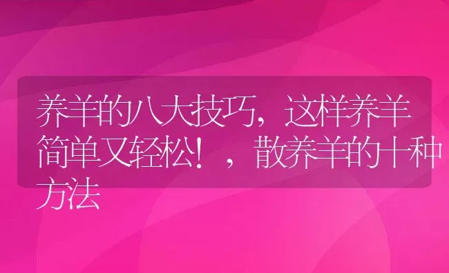 养羊的八大技巧,这样养羊简单又轻松!,散养羊的十种方法 | 养殖学堂