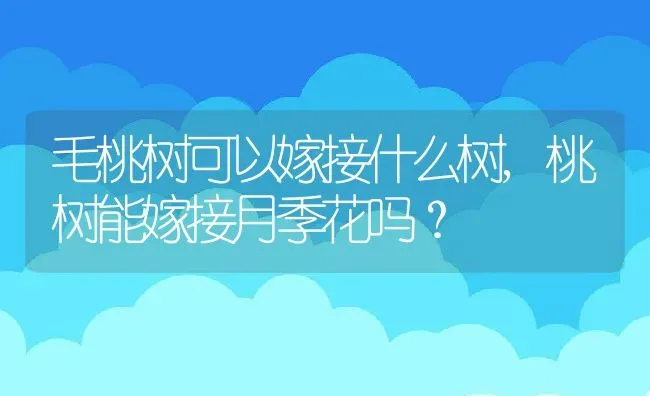 毛桃树可以嫁接什么树,桃树能嫁接月季花吗？ | 养殖科普