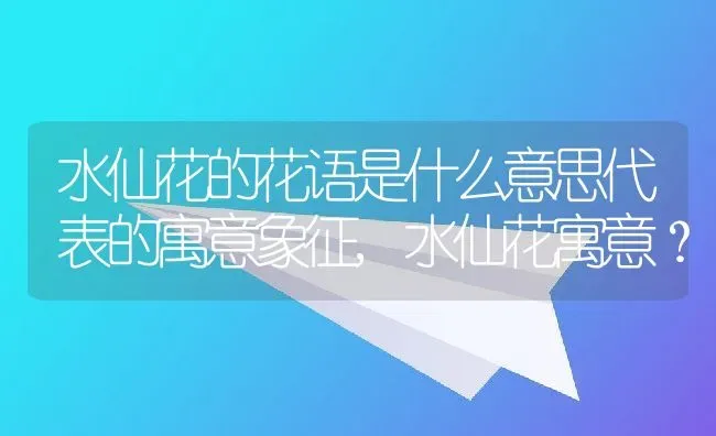 水仙花的花语是什么意思代表的寓意象征,水仙花寓意？ | 养殖科普