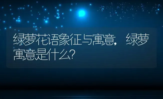 绿萝花语象征与寓意,绿萝寓意是什么？ | 养殖科普