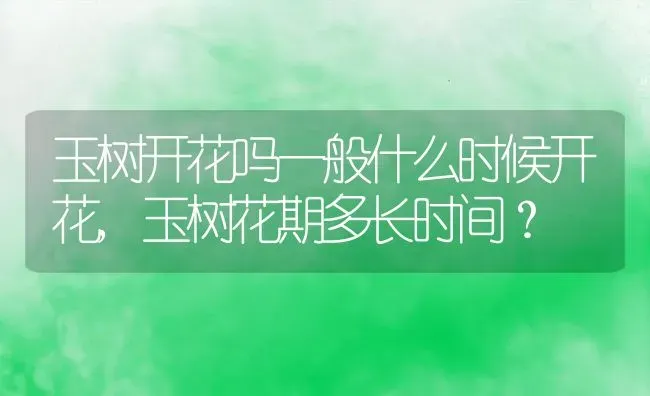 玉树开花吗一般什么时候开花,玉树花期多长时间？ | 养殖科普