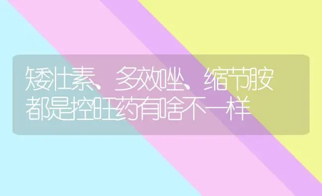 矮壮素、多效唑、缩节胺 都是控旺药有啥不一样 | 养殖技术大全