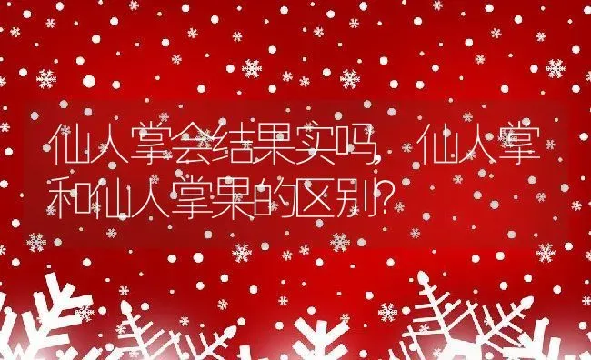 仙人掌会结果实吗,仙人掌和仙人掌果的区别？ | 养殖科普