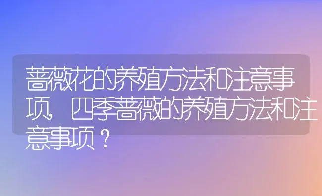 蔷薇花的养殖方法和注意事项,四季蔷薇的养殖方法和注意事项？ | 养殖学堂