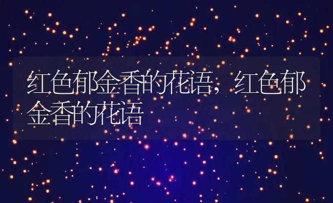 红色郁金香的花语,红色郁金香的花语 | 养殖科普