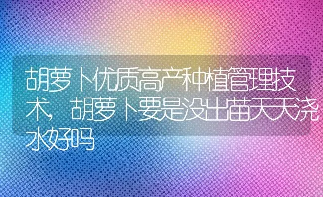 胡萝卜优质高产种植管理技术,胡萝卜要是没出苗天天浇水好吗 | 养殖学堂