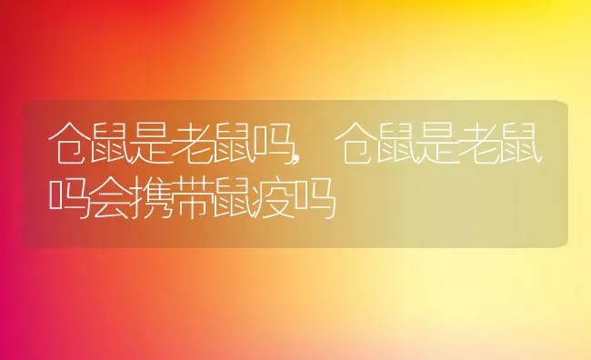 仓鼠是老鼠吗,仓鼠是老鼠吗会携带鼠疫吗 | 养殖资料