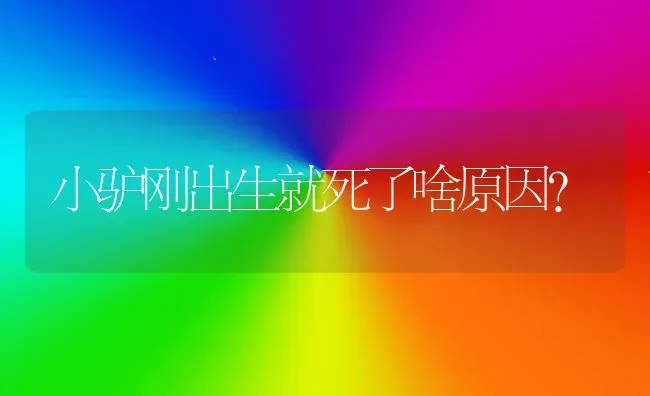 小驴刚出生就死了啥原因? | 养殖技术大全