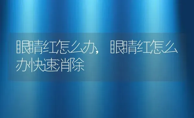 眼睛红怎么办,眼睛红怎么办快速消除 | 养殖资料