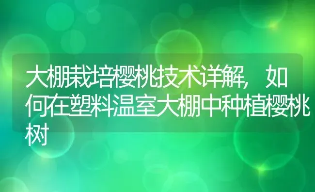 大棚栽培樱桃技术详解,如何在塑料温室大棚中种植樱桃树 | 养殖学堂