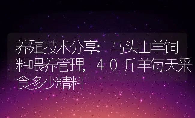 养殖技术分享:马头山羊饲料喂养管理,40斤羊每天采食多少精料 | 养殖学堂