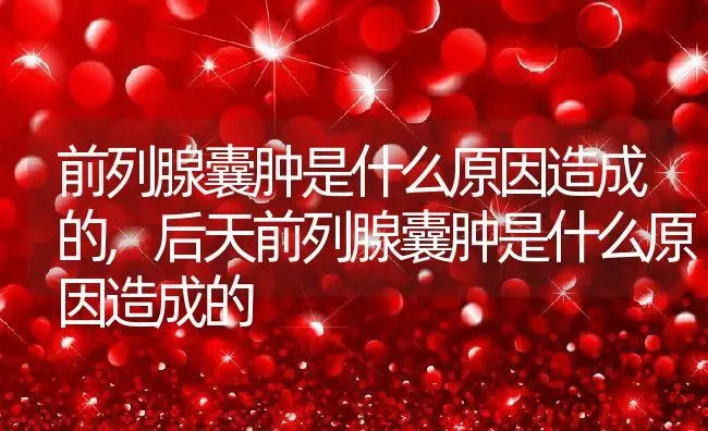 前列腺囊肿是什么原因造成的,后天前列腺囊肿是什么原因造成的 | 养殖科普