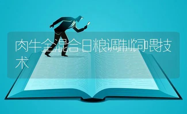 肉牛全混合日粮调制饲喂技术 | 养殖知识