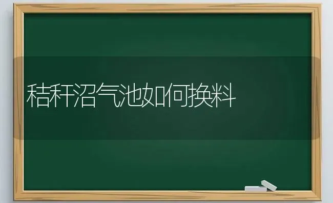 秸秆沼气池如何换料 | 养殖知识