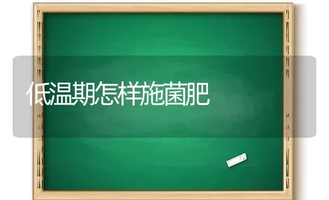 低温期怎样施菌肥 | 养殖技术大全