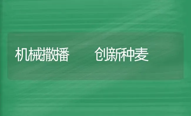 机械撒播  创新种麦 | 养殖知识