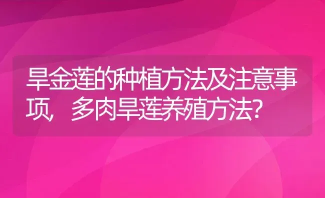 旱金莲的种植方法及注意事项,多肉旱莲养殖方法？ | 养殖科普