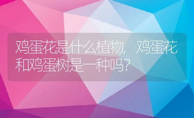 鸡蛋花是什么植物,鸡蛋花和鸡蛋树是一种吗？ | 养殖科普