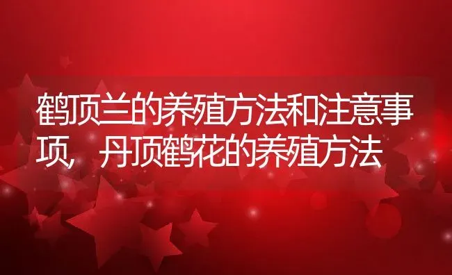 鹤顶兰的养殖方法和注意事项,丹顶鹤花的养殖方法 | 养殖学堂