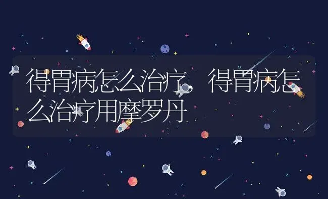 得胃病怎么治疗,得胃病怎么治疗用摩罗丹 | 养殖科普