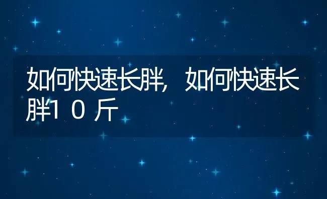 如何快速长胖,如何快速长胖10斤 | 养殖科普