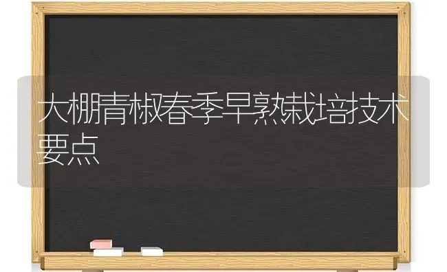 大棚青椒春季早熟栽培技术要点 | 养殖知识