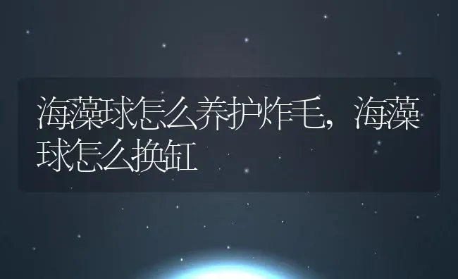 海藻球怎么养护炸毛,海藻球怎么换缸 | 养殖学堂