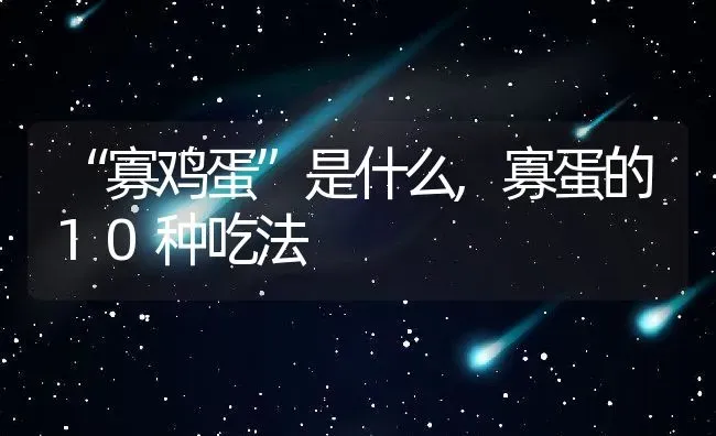 “寡鸡蛋”是什么,寡蛋的10种吃法 | 养殖学堂