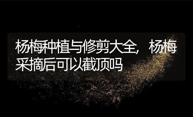 杨梅种植与修剪大全,杨梅采摘后可以截顶吗 | 养殖学堂