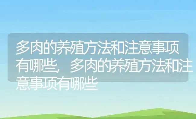 多肉的养殖方法和注意事项有哪些,多肉的养殖方法和注意事项有哪些 | 养殖科普