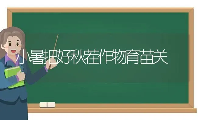 小暑把好秋茬作物育苗关 | 养殖技术大全