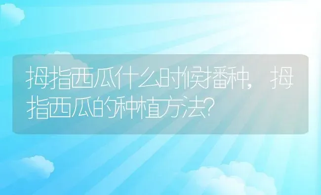 拇指西瓜什么时候播种,拇指西瓜的种植方法？ | 养殖科普