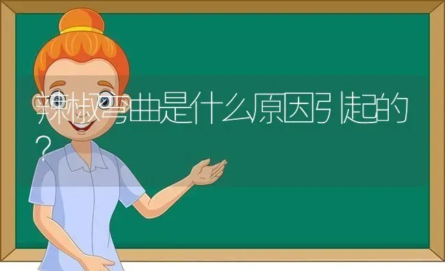 辣椒弯曲是什么原因引起的? | 养殖技术大全