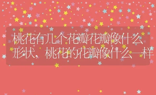 桃花有几个花瓣花瓣像什么形状,桃花的花瓣像什么一样 | 养殖学堂