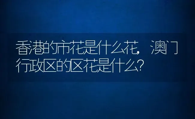 香港的市花是什么花,澳门行政区的区花是什么？ | 养殖科普