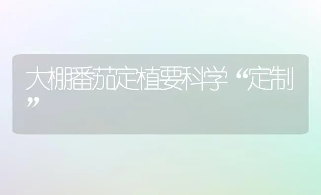 大棚番茄定植要科学“定制” | 养殖技术大全