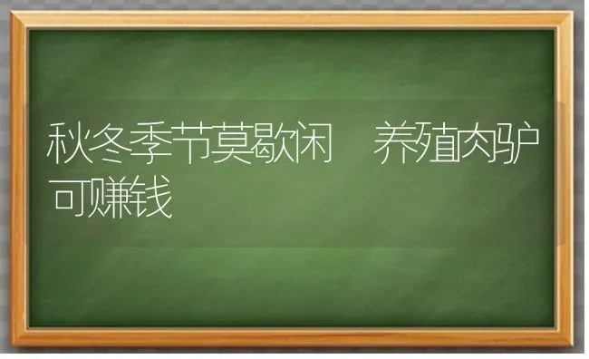 秋冬季节莫歇闲 养殖肉驴可赚钱 | 养殖技术大全