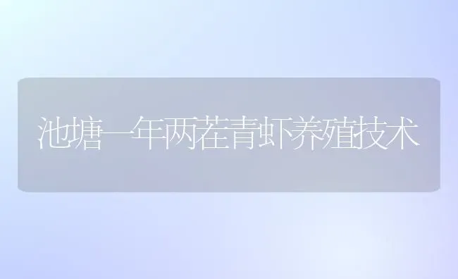 池塘一年两茬青虾养殖技术 | 养殖知识