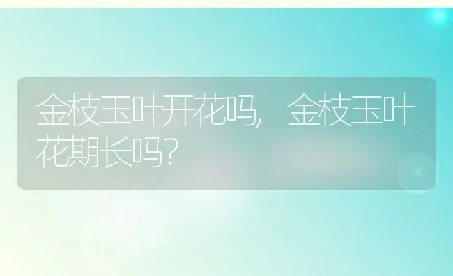 金枝玉叶开花吗,金枝玉叶花期长吗？ | 养殖科普