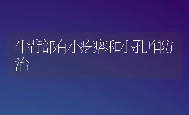 牛背部有小疙瘩和小孔咋防治 | 养殖技术大全