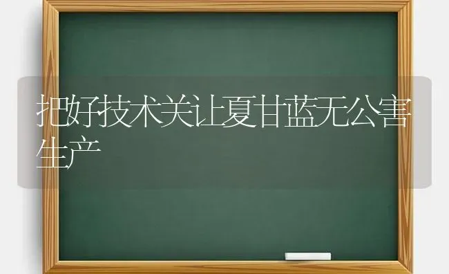 把好技术关让夏甘蓝无公害生产 | 养殖技术大全