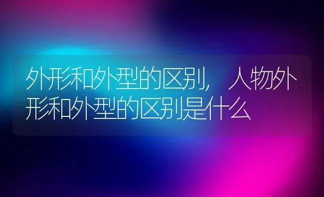 外形和外型的区别,人物外形和外型的区别是什么 | 养殖资料