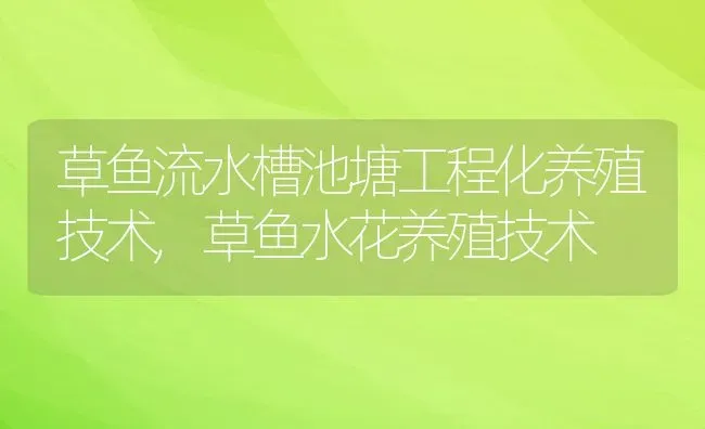 草鱼流水槽池塘工程化养殖技术,草鱼水花养殖技术 | 养殖学堂