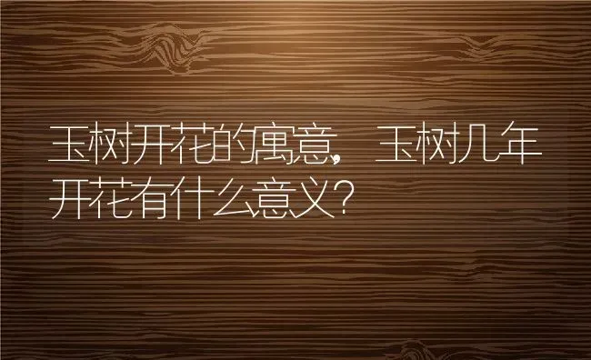 玉树开花的寓意,玉树几年开花有什么意义？ | 养殖学堂