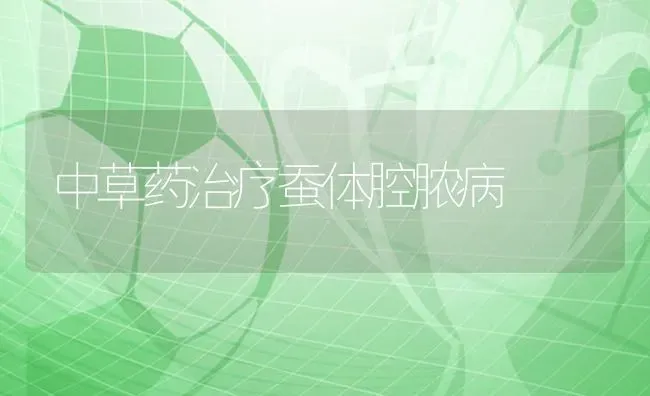 中草药治疗蚕体腔脓病 | 养殖技术大全