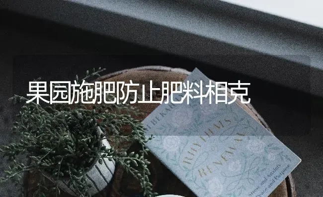 贮藏大葱的七种方法 | 养殖技术大全