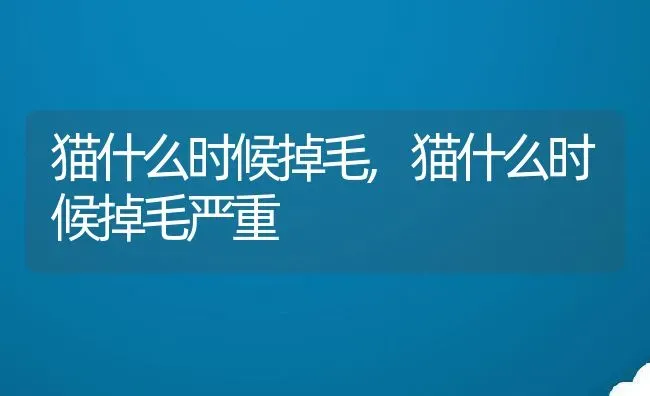 猫什么时候掉毛,猫什么时候掉毛严重 | 养殖资料